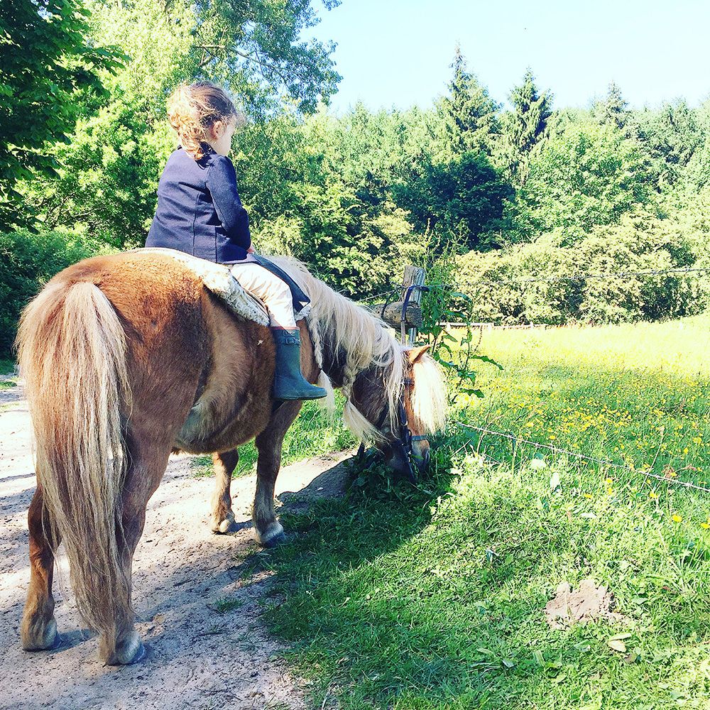 Pony reiten im Niendorfer Gehege - Ausflüge mit Kindern in Hamburg - Pferde reiten Kinder