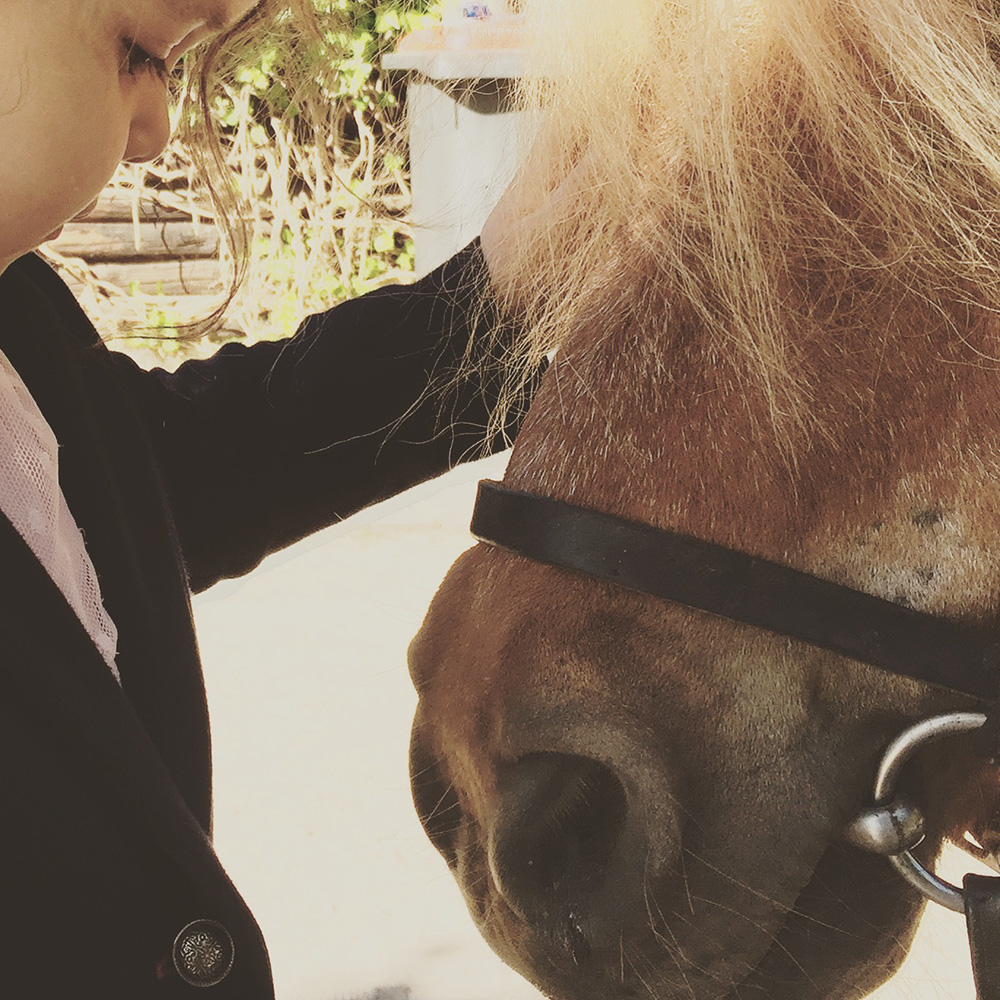 Pony reiten im Niendorfer Gehege - Ausflüge mit Kindern in Hamburg - Pferde reiten Kinder