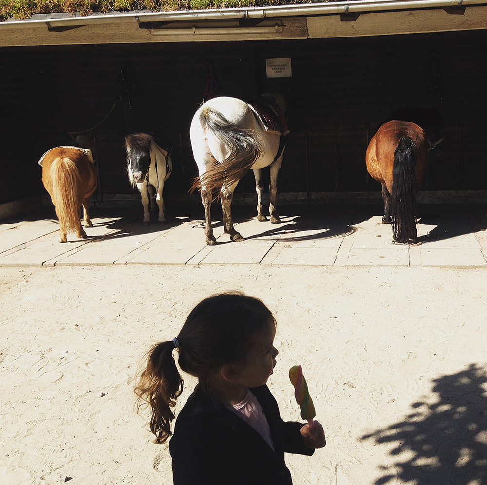 Pony reiten im Niendorfer Gehege - Ausflüge mit Kindern in Hamburg - Pferde reiten Kinder