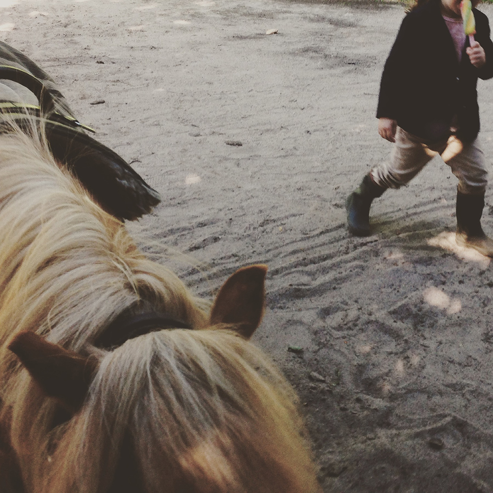 Pony reiten im Niendorfer Gehege - Ausflüge mit Kindern in Hamburg - Pferde reiten Kinder