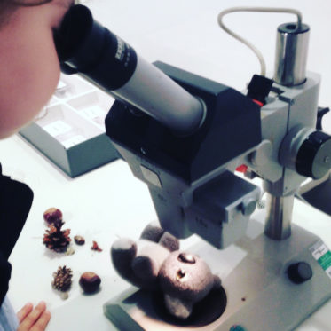 Mikroskopieren mit Kindern im Loki-Schmidt-Haus- Ausflüge mit Kindern für umsonst - immer wenn es regnet