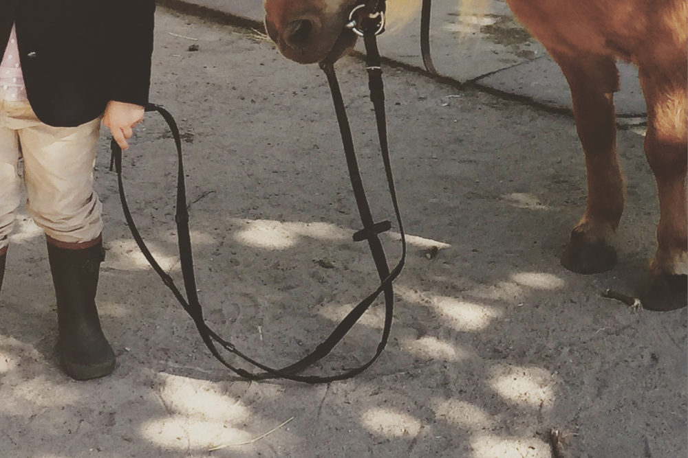 Pony reiten im Niendorfer Gehege - Ausflüge mit Kindern in Hamburg - Pferde reiten Kinder