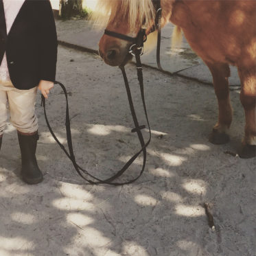 Pony reiten im Niendorfer Gehege - Ausflüge mit Kindern in Hamburg - Pferde reiten Kinder